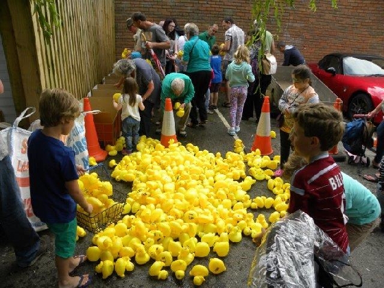 results announced duck race