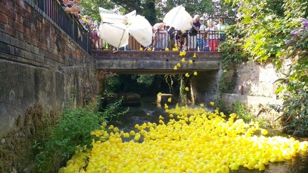 Duck Race