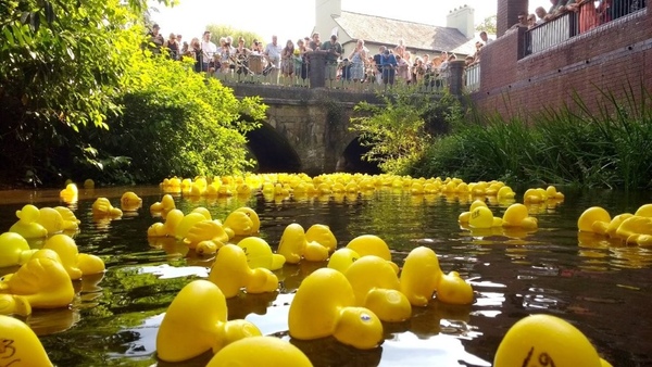 Duck Race
