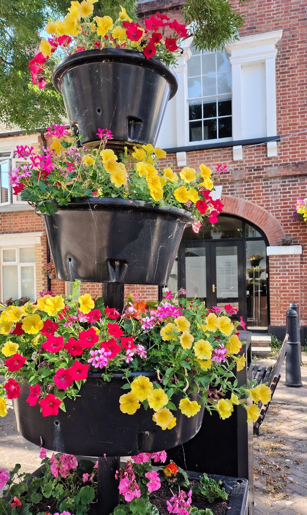 Summer Floral Display