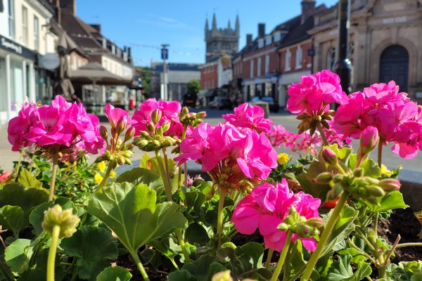 Summer Floral Display
