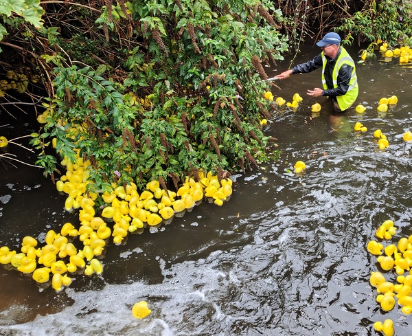 Duck Race